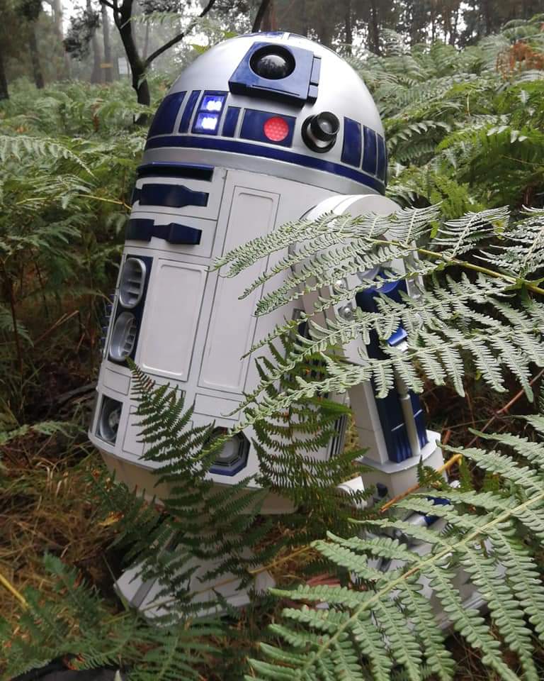 R2-D2 [Carlosr2d2]