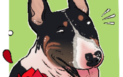 3º Mascocan solidario (2018)